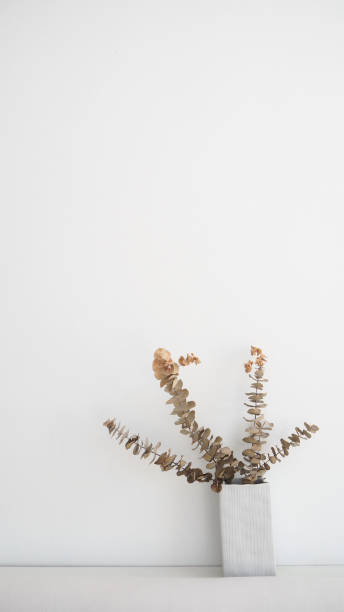 istock Dried eucalyptus branches in vase with white wall 936379098