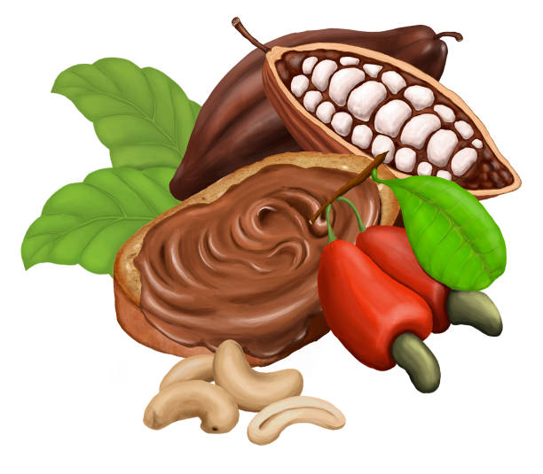 Bread with chocolate paste, cashew and cocoa. Raster illustration, isolated on the white background.
