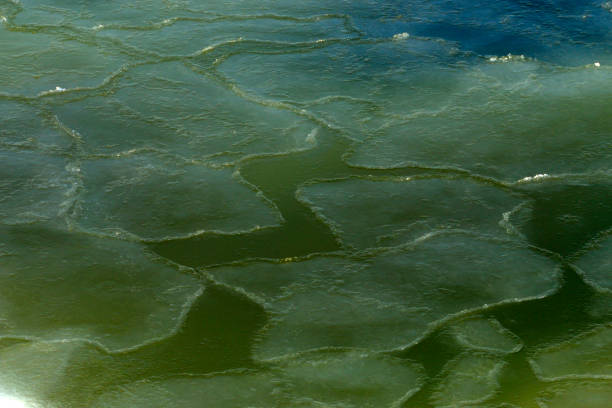istock Sea ice natural landscape 936392718