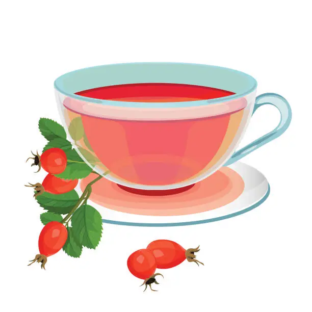 Vector illustration of Tea with rose hips in transparent glass and saucer