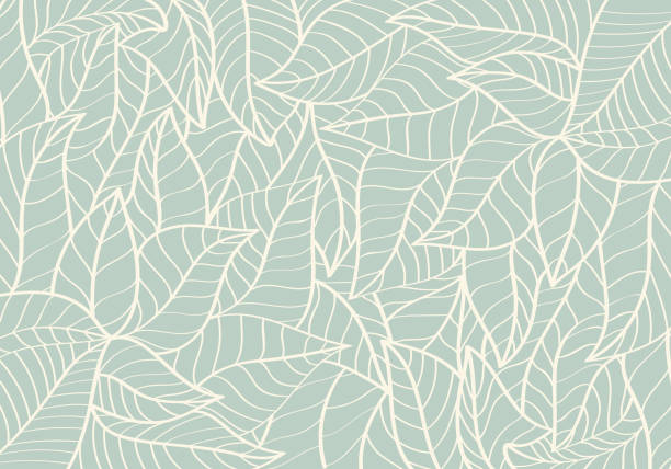 자연 패턴, 추상, 곡선 모양, 리프 그린 컬러 배경 - 식물 stock illustrations
