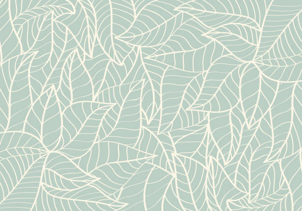 Natural Pattern,Abstract,Curve shape,Leaf Green colour Background vector illustration leaves backgrounds stock illustrations