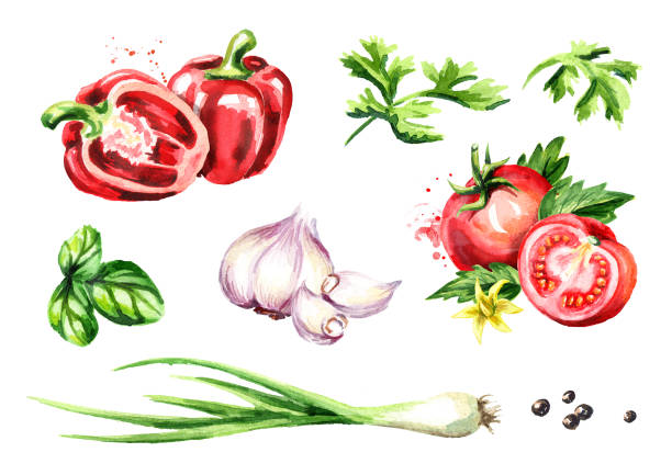 istock Fresh vegetables and herbs set. Watercolor hand drawn illustration, isolated on white background 936394986