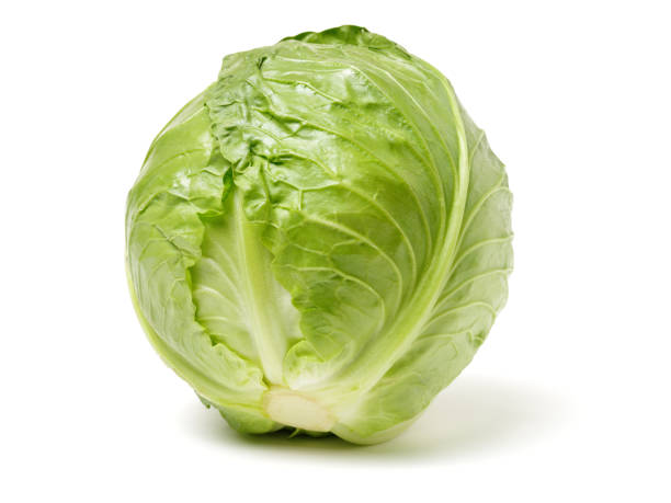 Cabbage isolated on white background stock photo