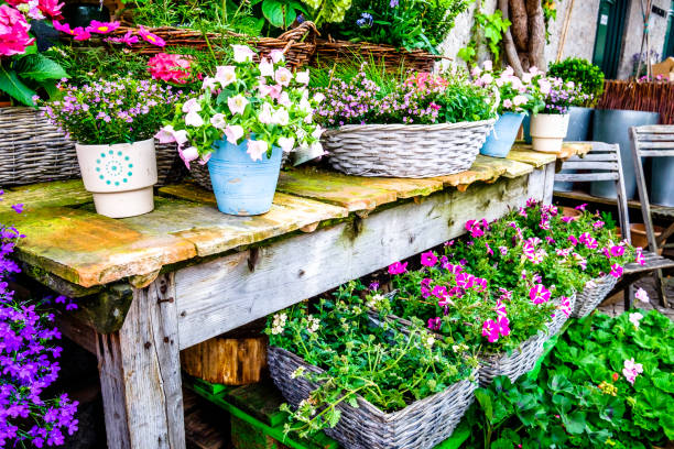 istock flowers at an old stairway 936398176