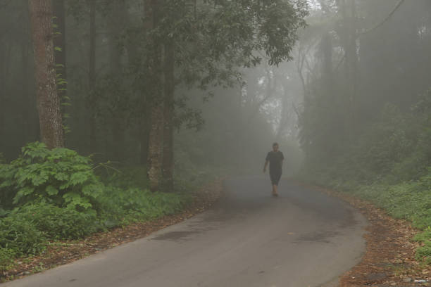 istock Man walking down road into the forest and fog 936398458