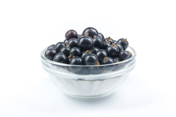 istock Fresh currant on plate on Isolated white background. Berries 936402574