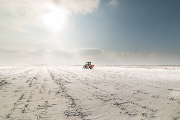 시드-겨울-눈에에서 농업 분야에 작물을 파 종 하는 트랙터와 농부 - corn snow field winter 뉴스 사진 이미지