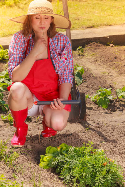 istock woman with gardening tool working in garden 936406880
