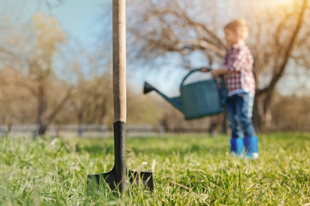 istock Selective focus of a shovel in the garden 936407114