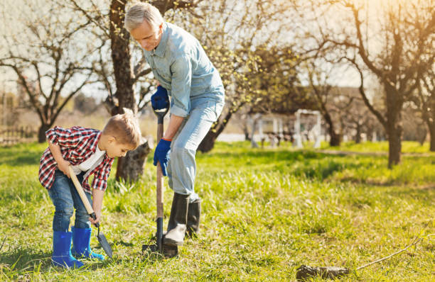 Pleasant aged man digging in the garden with his grandson