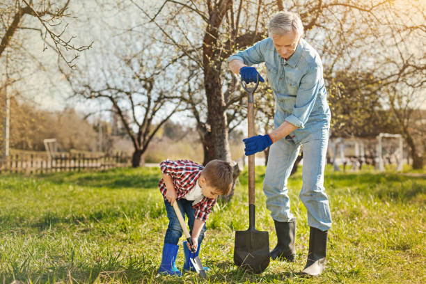 istock Nice little boy working in the garden with his grandfather 936407952