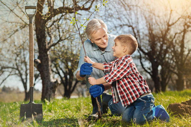 istock Positive aged man planting a tree with his little grandson 936408456