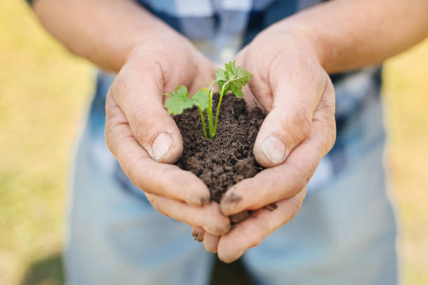 istock Pleasant man holding a handful of soil 936408680