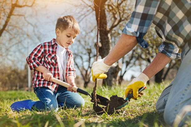 istock Nice little boy and his father planting a tree 936408774