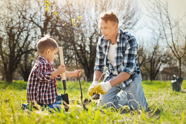 istock Caring father and little son planting trees 936408868