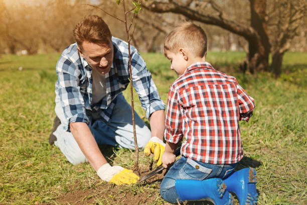 istock Cheerful father and his son planting a tree 936409032