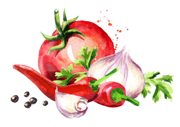 istock Rip tomato with young garlic, chilli peppers and peppercorns. Watercolor hand drawn illustration  isolated on white background 936409078