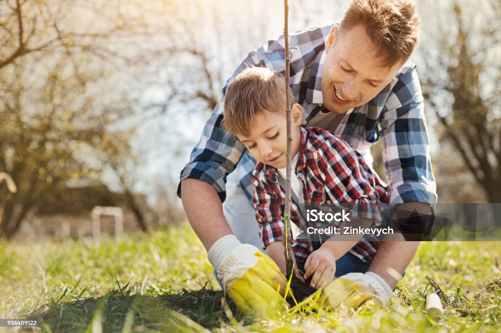 Padre Amoroso Positivo Y Su Hijo Plantando Un Árbol Foto de stock y más  banco de imágenes de Plantar - iStock