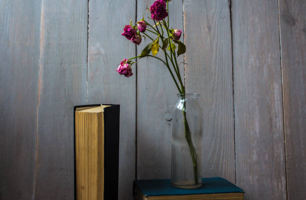istock a red rose in a bottle and a books 936409164