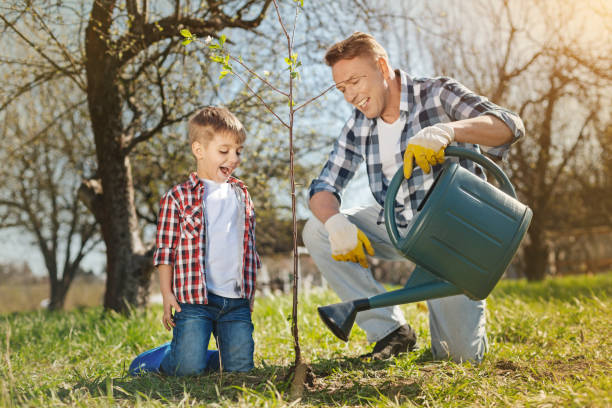 istock Cheerful man and his little son watering a tree 936409264