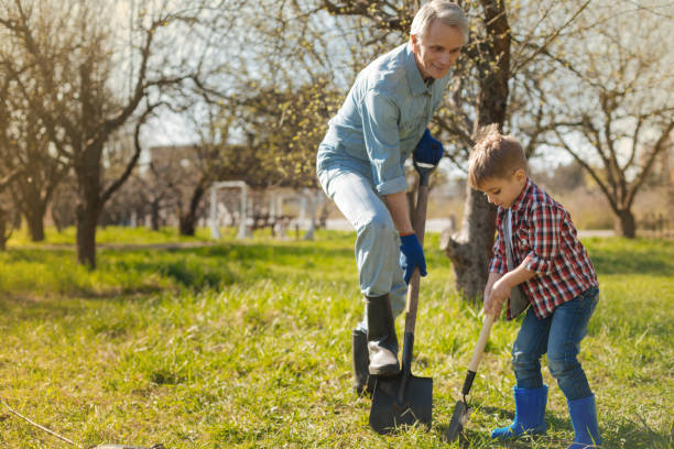 istock Pleasant aged man digging with his grandson in the garden 936409834