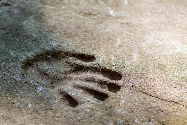 istock Memorable handprint of a hand in an old concrete wall 936415388