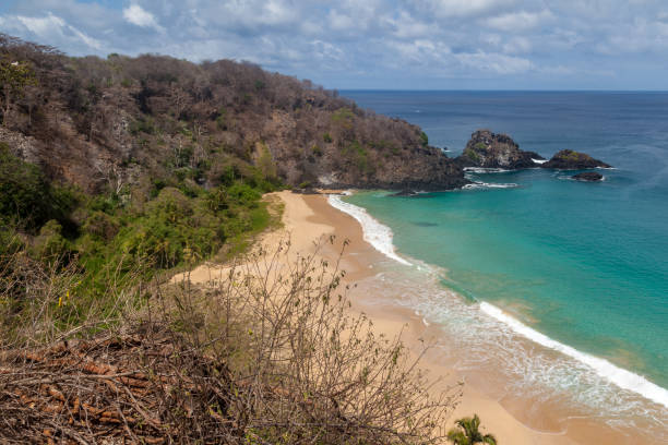istock Sancho Bay Fernando de Noronha Brazil 936418410