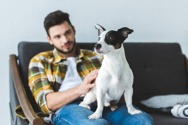 istock handsome man in checkered shirt sitting on sofa with dog 936418490