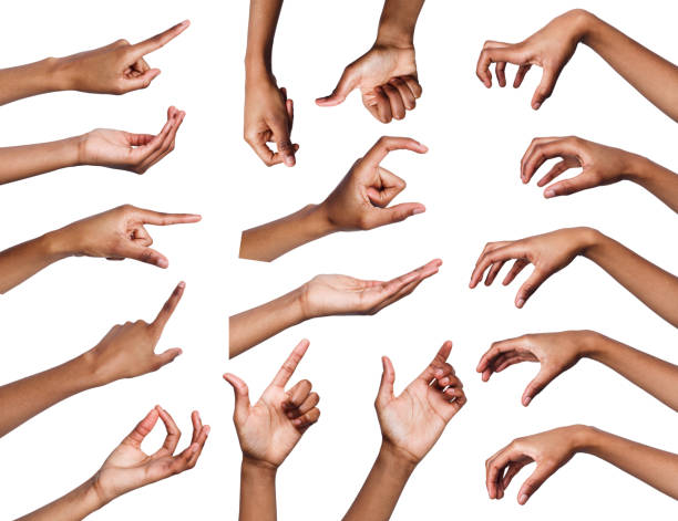 set of various hand gestures isolated on white - hand sign imagens e fotografias de stock