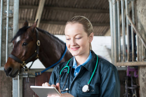 istock Female Vet With Digital Tablet Examining Horse In Stable 936418664