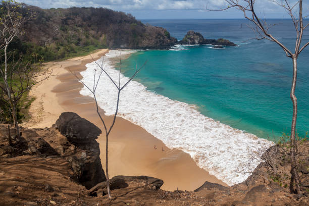 istock Sancho Bay Fernando de Noronha Brazil 936419016