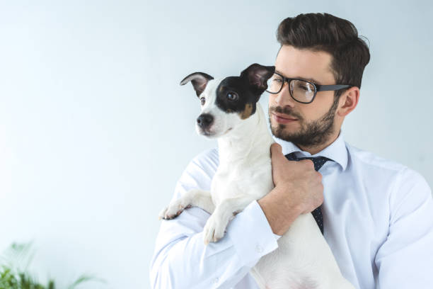 istock bearded businessman holding jack russell terrier dog 936419636