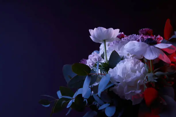 Photo of bouquet of beautiful different flowers on dark