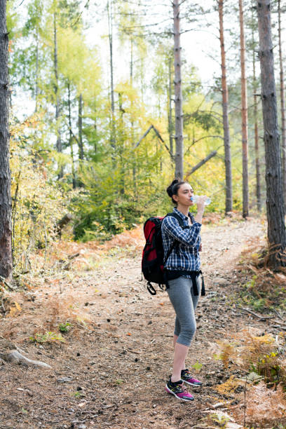 istock Beautiful female hiker drinking water in forest at sunset 936422420
