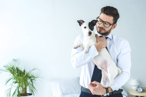 istock handsome businessman in eyeglasses holding jack russell terrier dog 936423892