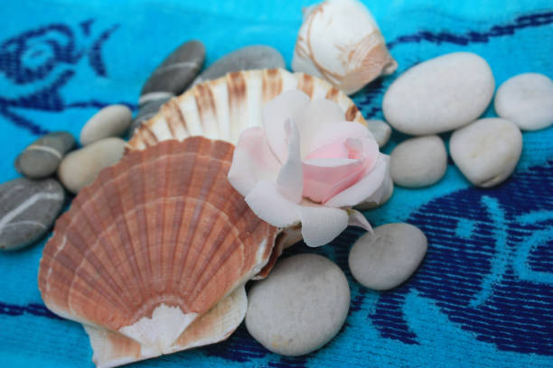 istock Pink shell and pebble on a bath towel 936425456