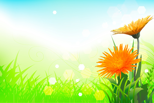 Spring Background Tiff Spring Background Stock Illustration - Download Image Now - Backgrounds ...