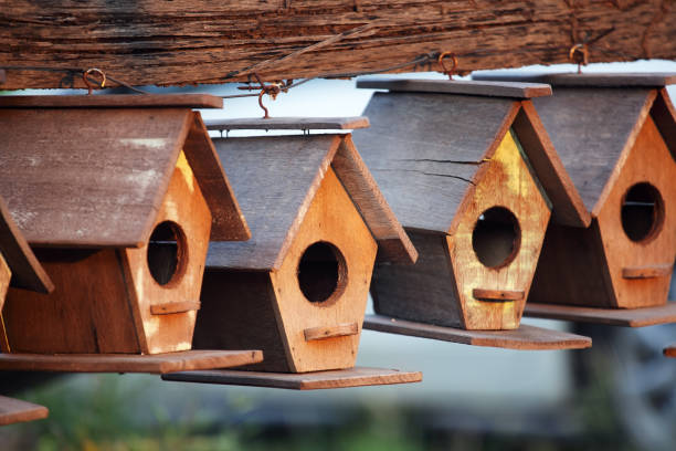 fond de maison oiseau en bois créatif - birdhouse birds nest animal nest house photos et images de collection
