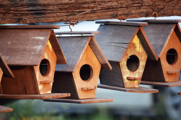 creative wooden bird house background