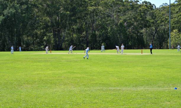 men playing cricket in white uniform - sport of cricket cricket player fielder sport imagens e fotografias de stock