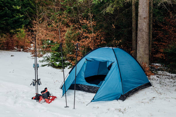 istock Tourist tent in the forest 936428088