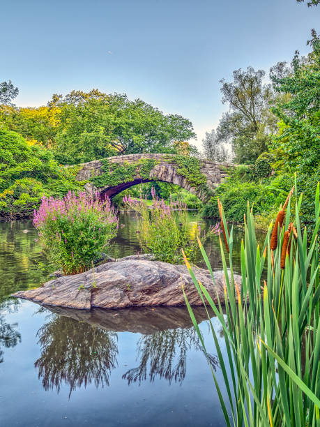 istock Gapstow bridge Central Park, New York City 936435918