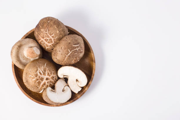 champignons frais champignon isolés sur blanc. - edible mushroom shiitake mushroom vegetable isolated photos et images de collection