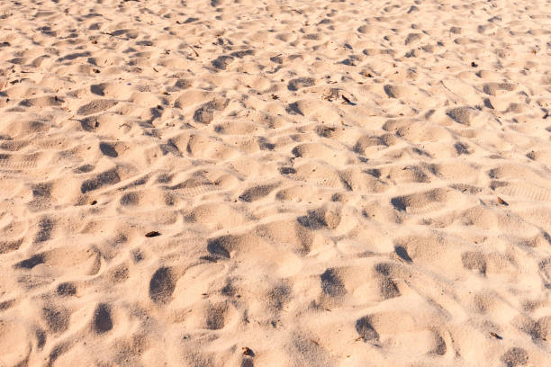 The sand texture stock photo