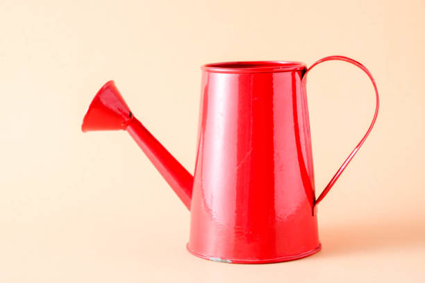 istock watering can old retro vintage style 936448546