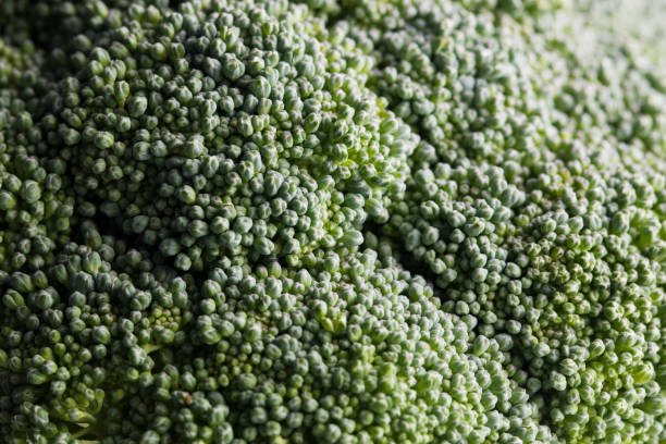 istock close up of broccoli 936454958