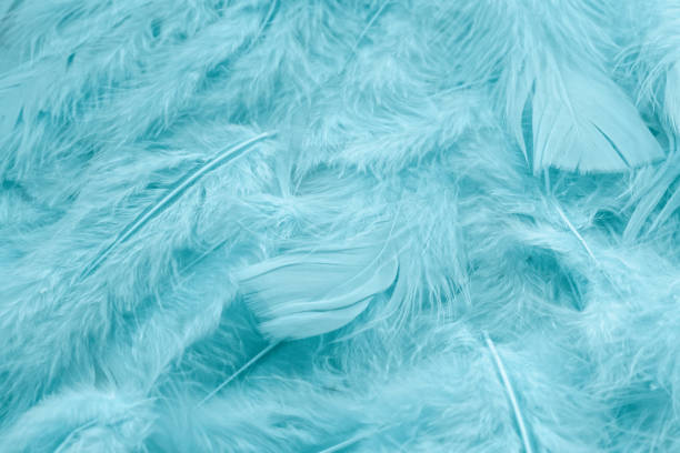 istock Close up of colored background of fluffy feathers. 936455356
