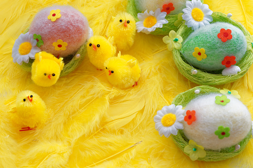 Baby yellow Easter toys chicks and eggs on a background of feathers. Festive greeting card