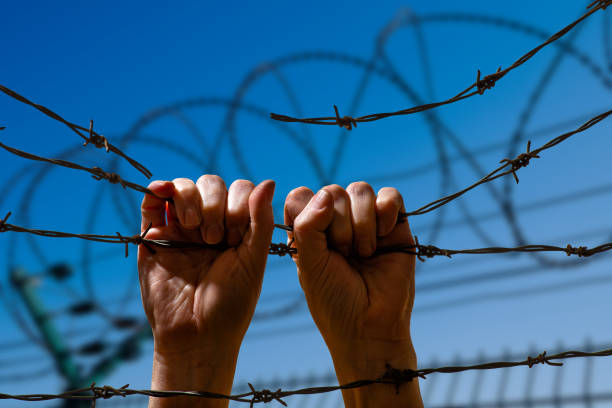 istock Two Hand Hanging on the Fence from Barbed Wire 936459778